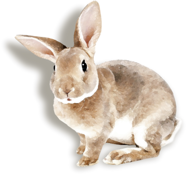 Transparent Easter Bunny Hare Rabbit Snout for Easter