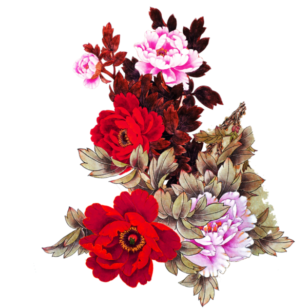 Transparent Moutan Peony Flower Pink Plant for Valentines Day