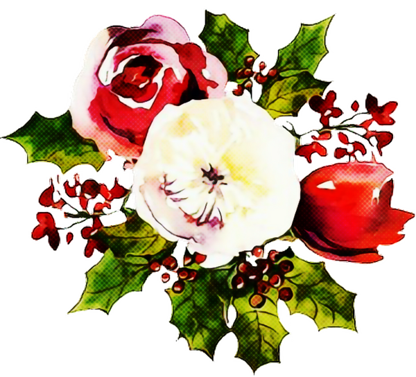 Transparent Flowering Plant Flower Red for Valentines Day