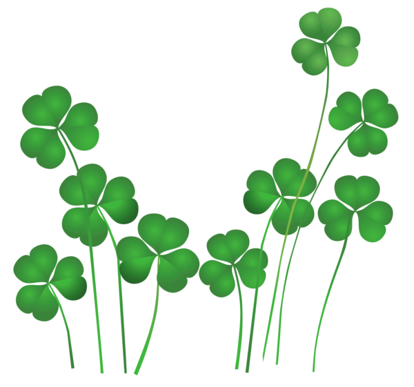Transparent Ireland Saint Patrick S Day Public Holiday Plant Leaf for St Patricks Day