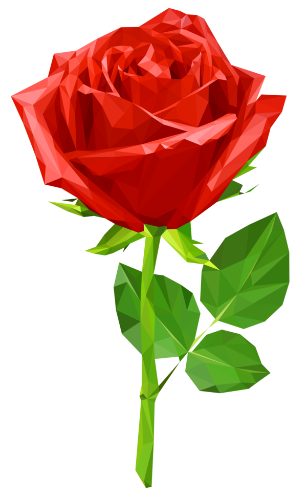 Transparent Rose Floral Design Blog Petal Plant for Valentines Day