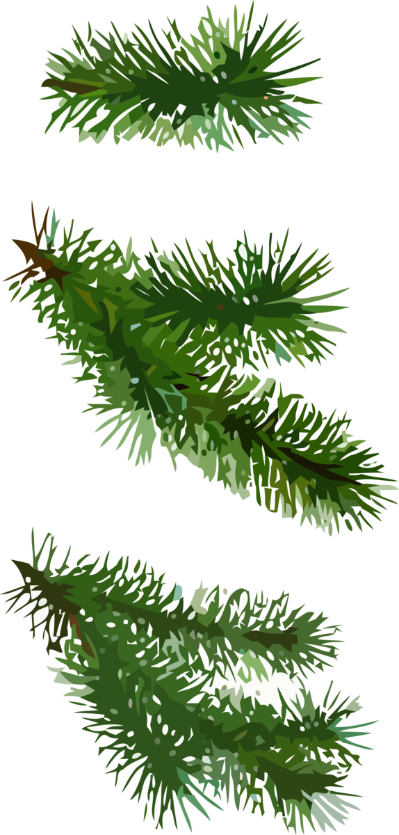 Transparent christmas shortleaf black spruce Yellow fir balsam fir for Christmas Ornament for Christmas