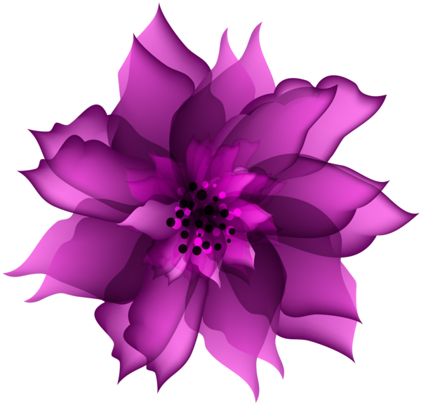 Transparent Flower Purple Violet Plant for Valentines Day