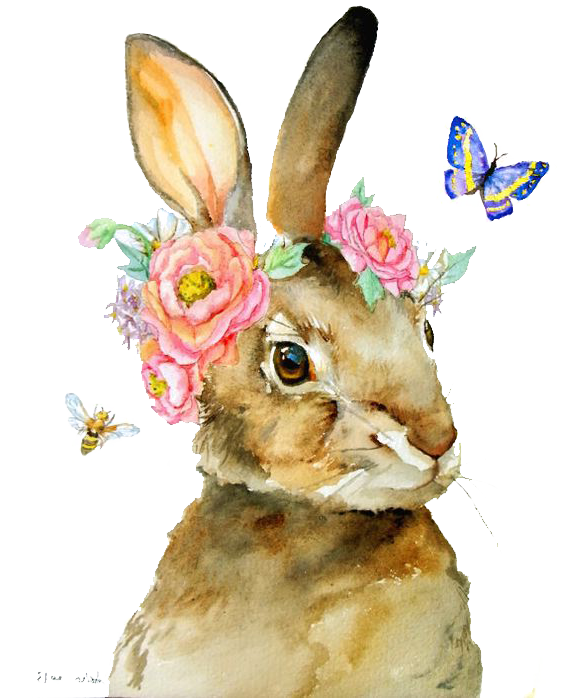 Transparent Tale Of Peter Rabbit Rabbit Tshirt Wildlife Hare for Easter