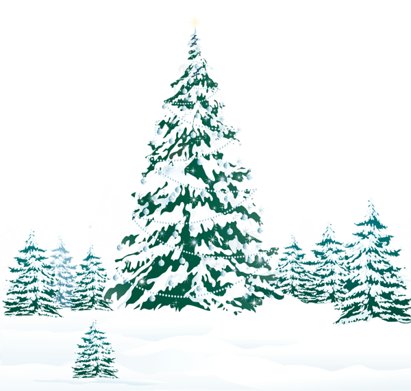 Transparent Tree Snow Pine Fir Pine Family for Christmas