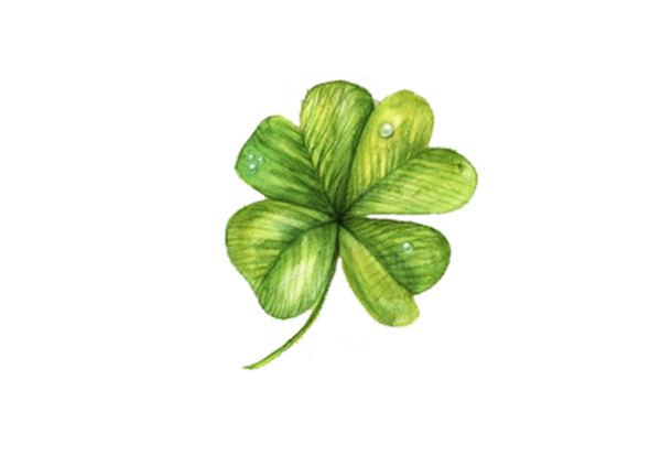 Transparent Clover Fourleaf Clover Saint Patricks Day Shamrock Leaf for St Patricks Day