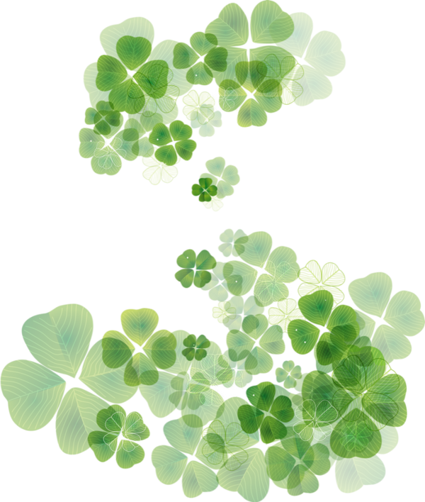 Transparent Clover Fourleaf Clover Raster Graphics Shamrock Leaf for St Patricks Day