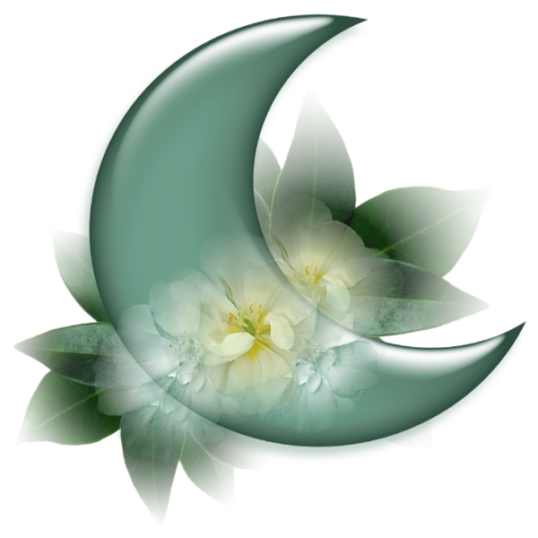 Transparent Youtube Sham Ennessim Moon Flora Plant for Ramadan