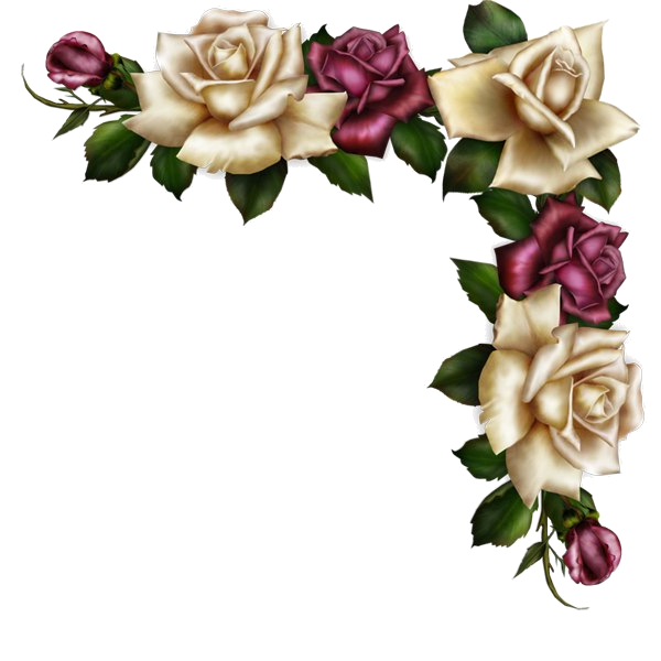 Transparent Floral Design Flower Decoupage Rose Family for Valentines Day
