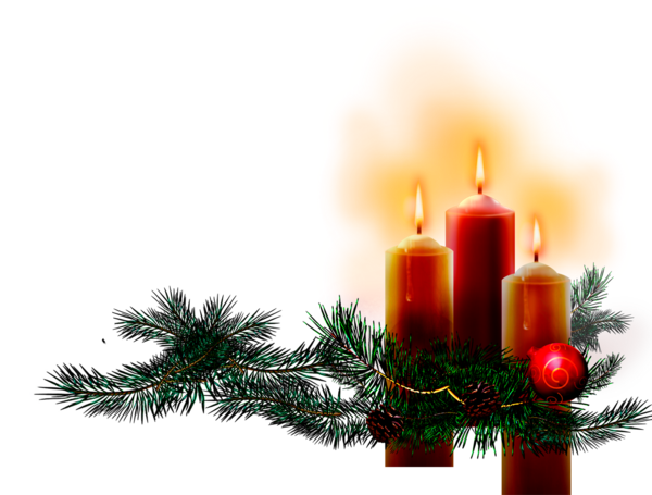Transparent Candle Christmas Advent Fir Pine Family for Christmas
