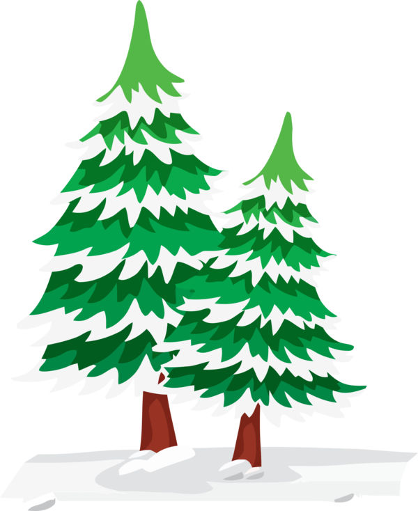 Transparent christmas Colorado spruce Tree White pine for Christmas Tree for Christmas