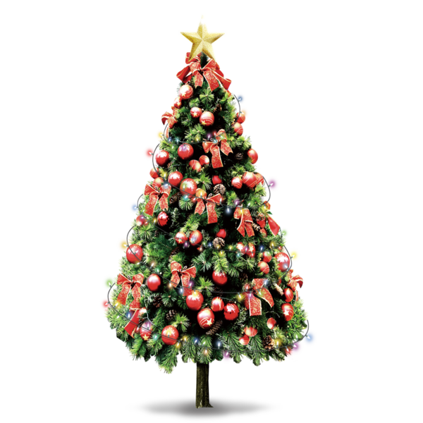 Transparent Samsung Galaxy S5 Santa Claus Christmas Fir Pine Family for Christmas