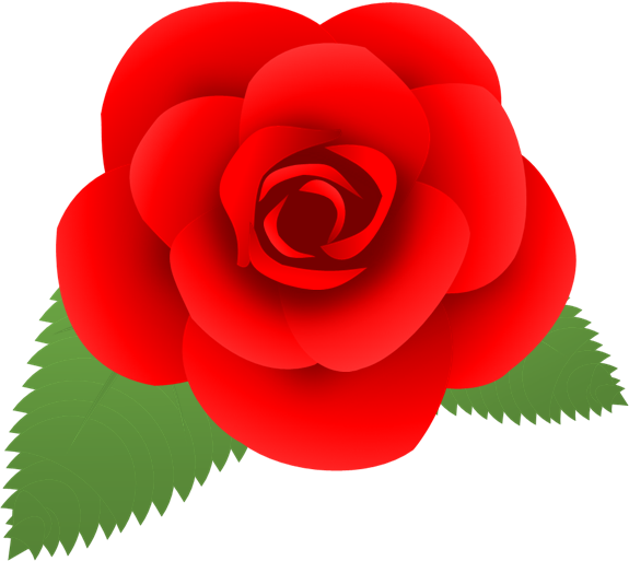 Transparent Garden Roses Japanese Camellia Rose Flower Red for Valentines Day