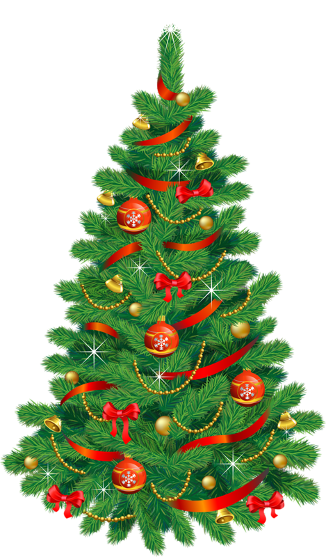 Transparent Christmas Tree Christmas Tree Fir Pine Family for Christmas