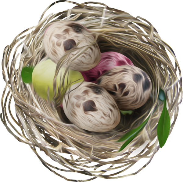 Transparent Bird Egg Cinemagraph Basket Bird Nest for Easter