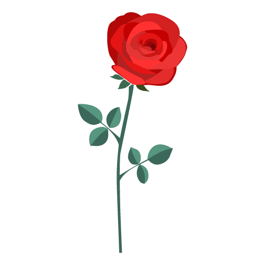 Transparent Garden Roses Drawing Rose Flower Red for Valentines Day
