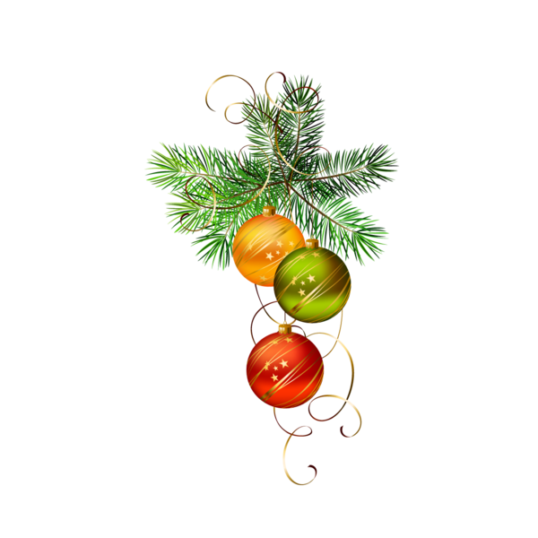 Transparent New Year 2016 Christmas Christmas Ornament Fir Pine Family for Christmas