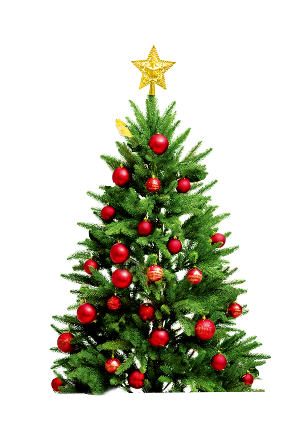 Transparent Santa Claus New Year Tree Christmas Fir Pine Family for Christmas