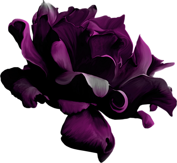 Transparent Purple Violet Flower Plant for Valentines Day