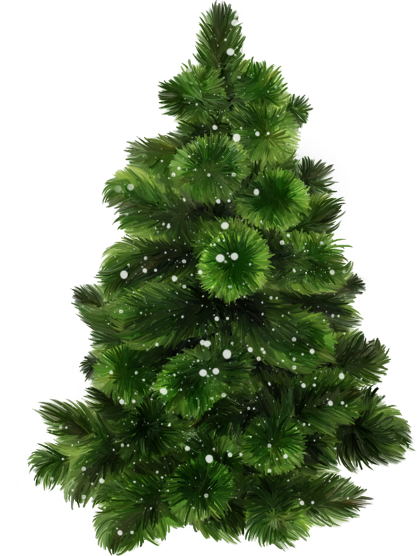 Transparent Christmas Tree New Year Christmas Spruce for Christmas