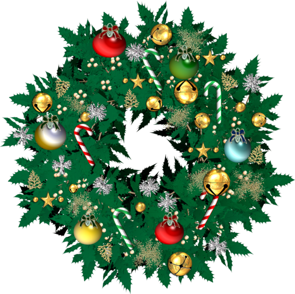 Transparent Blog Christmas Tree Christmas Fir Pine Family for Christmas