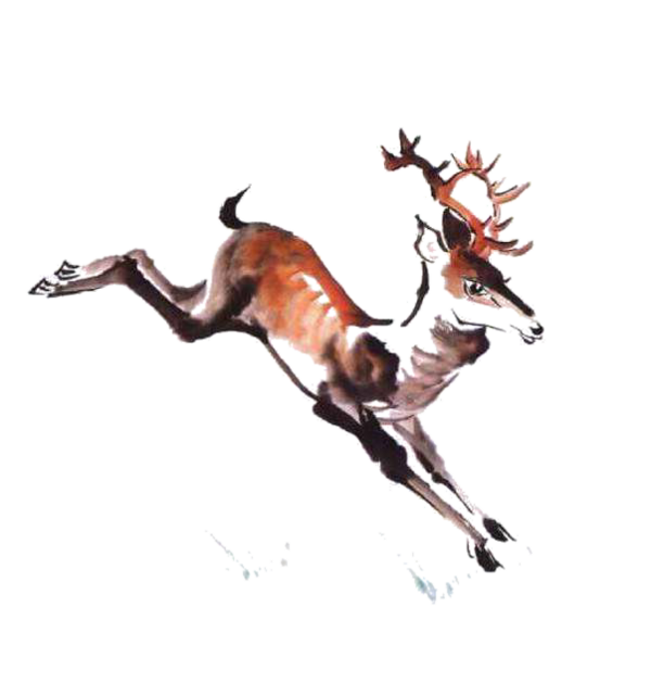 Transparent Deer Red Deer Ink Wash Painting Wildlife Tail for Christmas
