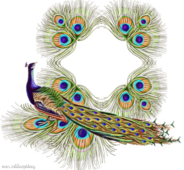 Transparent Peafowl Feather Bird for Janmashtami
