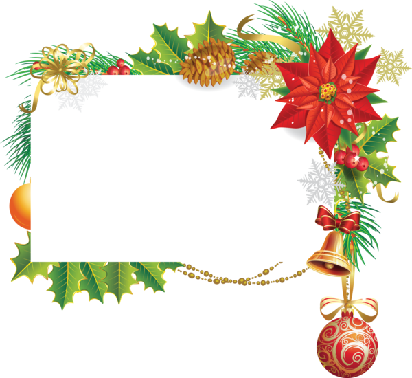 Transparent Christmas Christmas Decoration Christmas Card Fir Pine Family for Christmas