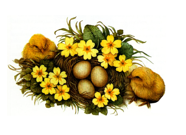 Transparent Easter Maundy Thursday Paschal Triduum Flower Food for Easter