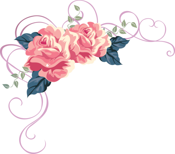 Transparent Rose Flower Drawing Pink Plant for Valentines Day