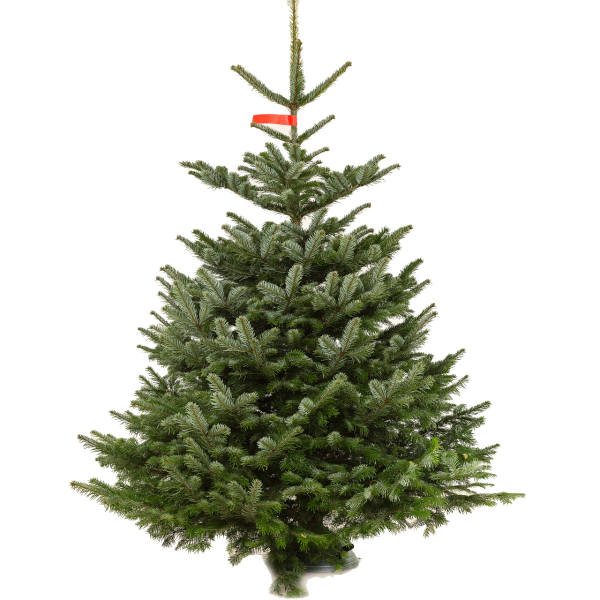 Transparent Artificial Christmas Tree Christmas Tree Prelit Tree Spruce for Christmas
