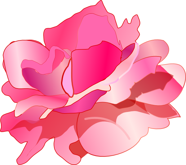 Transparent Rose Pink Drawing Plant for Valentines Day