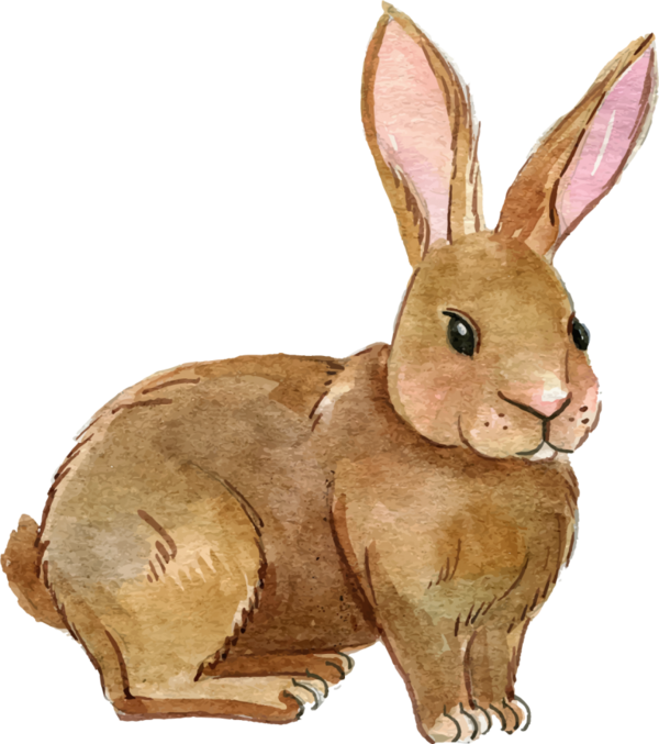 Transparent Rabbit European Rabbit Drawing Hare for Easter