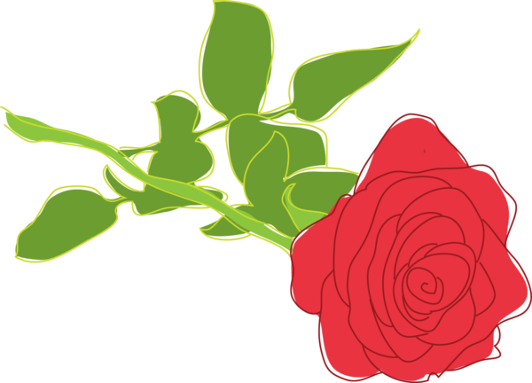 Transparent Rose Flower Garden Roses Petal for Valentines Day