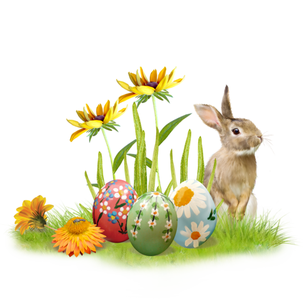 Transparent Easter Bunny Easter Easter Egg Flower Hare for Easter