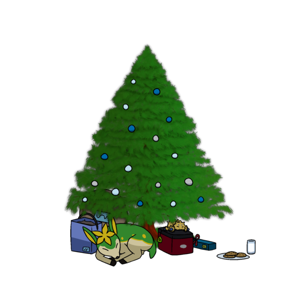 Transparent Spruce Fir Christmas Tree Pine Family for Christmas