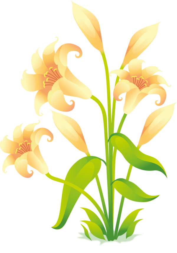 Transparent Flower Easter Lily Vector Space Calas Plant for Easter