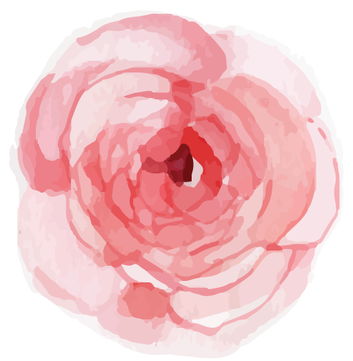 Transparent Flower Gift Floral Design Pink Plant for Valentines Day