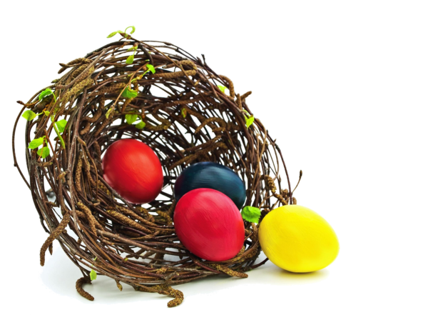 Transparent Nest Egg Easter Egg Bird Nest for Easter