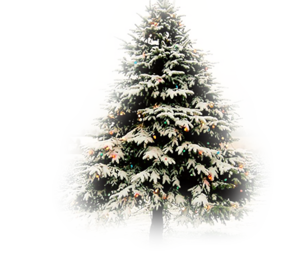 Transparent Christmas Tree Fir Christmas Tree for Christmas