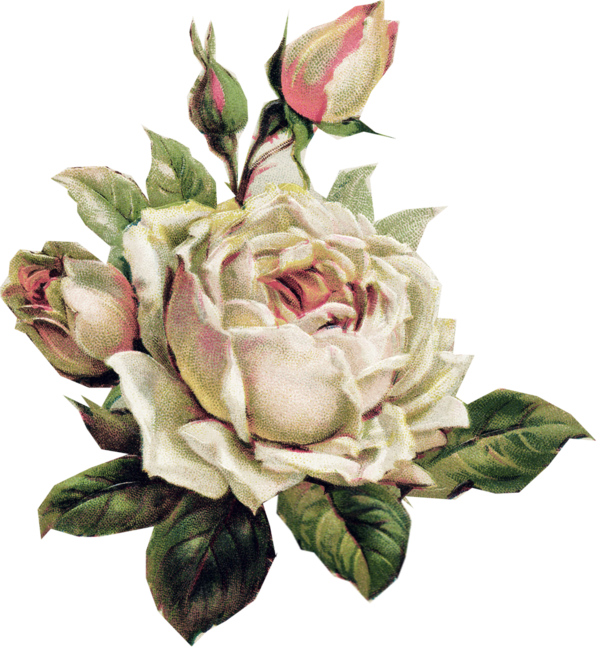 Transparent Rose Tattoo Flower Plant for Valentines Day