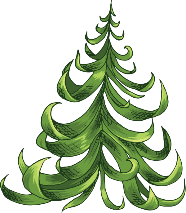Transparent Tree Christmas Tree Spruce Fir Pine Family for Christmas