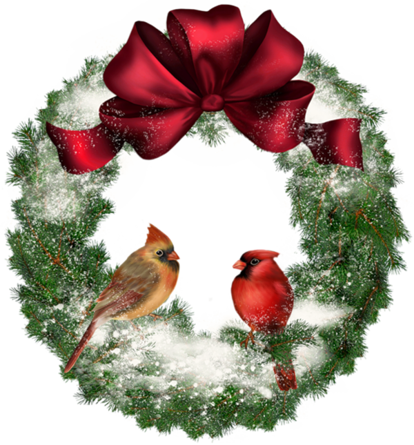 Transparent Bird Christmas Wreath Fir Pine Family for Christmas