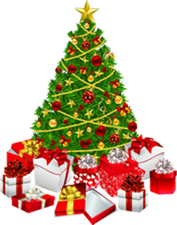 Transparent Christmas Tree Gift Tree Fir Pine Family for Christmas