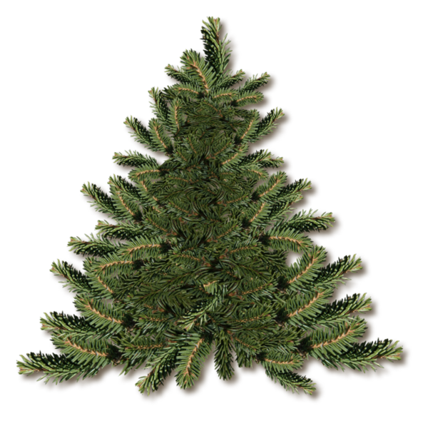 Transparent Christmas Tree Christmas Day Prelit Tree Spruce Tree for Christmas