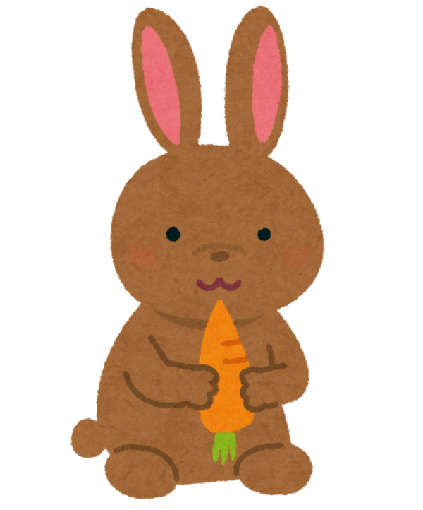 Transparent Rabbit Hare Constipation Stuffed Toy for Easter