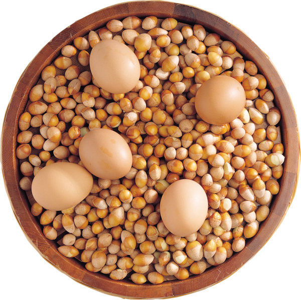 Transparent Nut Ingredient Egg Food Bean for Easter