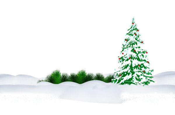 Transparent Christmas Tree Christmas Snow Fir Pine Family for Christmas