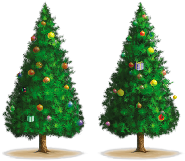 Transparent Christmas Tree Tree Drawing Christmas Decoration for Christmas