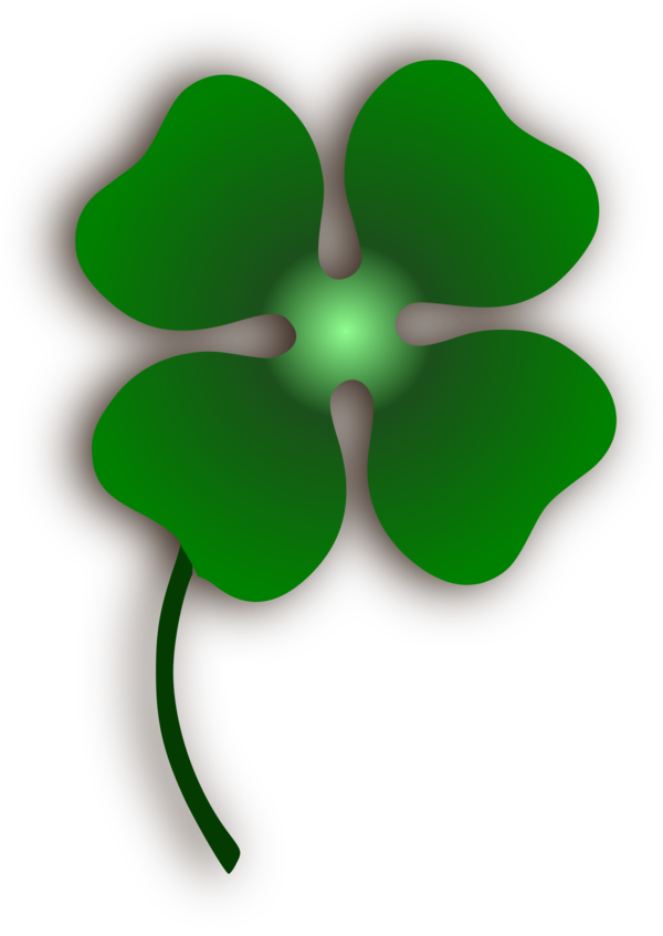 Transparent Fourleaf Clover Clover Shamrock Plant Flower for St Patricks Day
